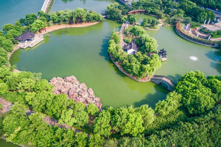 世纪公园 vs 辰山植物园：上海两大遛娃公园深度对比